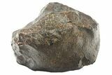 Cut Chondrite Meteorite ( g) - Unclassified NWA #265882-1